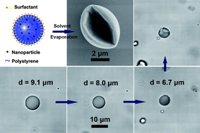 Graphical abstract: Magnetic nanoparticles-induced anisotropic shrinkage of polymer emulsion droplets