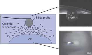 Graphical abstract: Structuring of colloidal suspensions confined between a silica microsphere and an air bubble