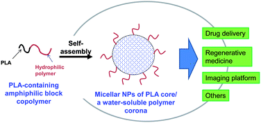 Graphical abstract: Polylactide (PLA)-based amphiphilic block copolymers: synthesis, self-assembly, and biomedical applications