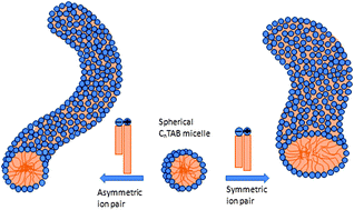 Graphical abstract: Swelling and elongation of tetradecyltrimethylammonium bromide micelles induced by anionic sodium laurate