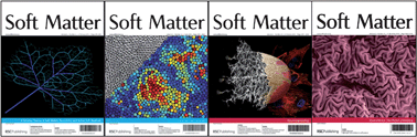 Graphical abstract: Another record year for Soft Matter!