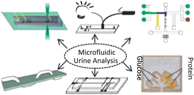 Graphical abstract: Urine analysis in microfluidic devices