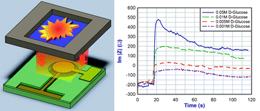 Graphical abstract: Monitoring biochemical reactions using Y-cut quartz thermal sensors