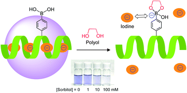 Graphical abstract: Colorimetric sensing of polyhydroxy compounds by an inclusion complex of boronic acid-modified amylose