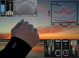 Graphical abstract: Wearable electrochemical sensors for in situ analysis in marine environments