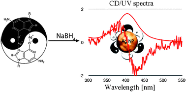 Graphical abstract: Circular dichroism and UV-Vis absorption spectroscopic monitoring of production of chiral silver nanoparticles templated by guanosine 5′-monophosphate