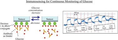 Graphical abstract: Production of rapidly reversible antibody and its performance characterization as binder for continuous glucose monitoring