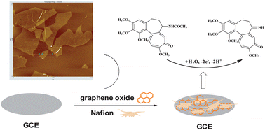Graphical abstract: Electrochemical oxidation behavior of colchicine on a graphene oxide-Nafion composite film modified glassy carbon electrode