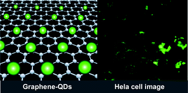 Graphical abstract: Conjugation of quantum dots with graphene for fluorescence imaging of live cells