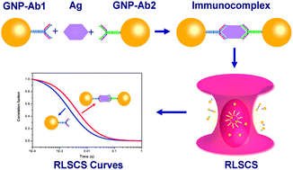 Graphical abstract: Single particle technique for one-step homogeneous detection of cancer marker using gold nanoparticle probes