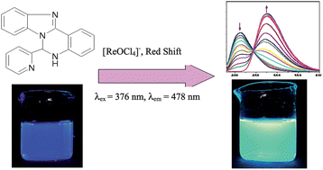 Graphical abstract: Development of a highly selective cell-permeable ratiometric fluorescent chemosensor for oxorhenium(v) ion