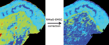 Graphical abstract: Resonant Mie scattering (RMieS) correction applied to FTIR images of biological tissue samples