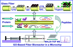 Graphical abstract: Immobilization of trypsin in the layer-by-layer coating of graphene oxide and chitosan on in-channel glass fiber for microfluidic proteolysis