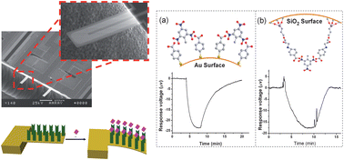 Graphical abstract: Adsorption induced surface-stress sensing signal originating from both vertical interface effects and intermolecular lateral interactions