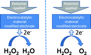 Graphical abstract: Recent advances in electrochemical sensing for hydrogen peroxide: a review