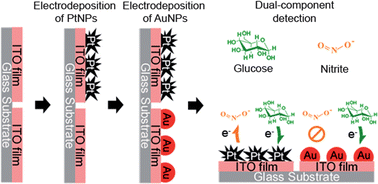 Graphical abstract: Dual detection strategy for electrochemical analysis of glucose and nitrite using a partitionally modified electrode