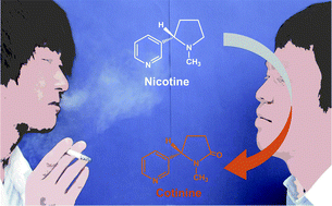 Graphical abstract: A monoclonal antibody-based enzyme-linked immunosorbent assay for human urinary cotinine to monitor tobacco smoke exposure