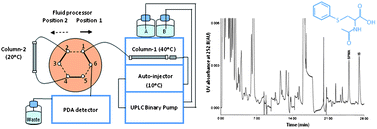 Graphical abstract: Ultra-performance liquid chromatographic assay coupled with two-dimensional separation for spectrometric determination of urinary S-phenylmercapturic acid