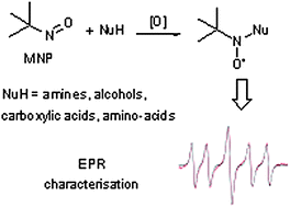 Graphical abstract: Use of X-band EPR to follow the reaction between various nucleophilic compounds and 2-methyl-2-nitrosopropane (MNP)