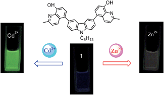 Graphical abstract: A highly sensitive and selective ratiometric Cd2+ fluorescent sensor for distinguishing Cd2+ from Zn2+ based on both fluorescence intensity and emission shift