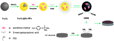 Graphical abstract: Fe3O4@Au sphere molecular imprinting with self-assembled monolayer for the recognition of parathion-methyl