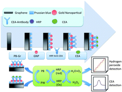 Graphical abstract: Graphene-Prussian blue/gold nanoparticles based electrochemical immunoassay of carcinoembryonic antigen