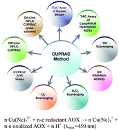 Graphical abstract: A comprehensive review of CUPRAC methodology