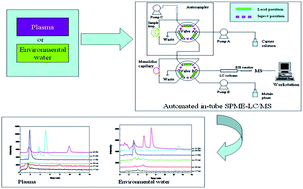 Graphical abstract: Automated analysis of non-steroidal anti-inflammatory drugs in human plasma and water samples by in-tube solid-phase microextraction coupled to liquid chromatography-mass spectrometry based on a poly(4-vinylpyridine-co-ethylene dimethacrylate) monolith