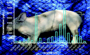 Graphical abstract: Determination of amino acids and amines in mammalian decomposition fluid by direct injection liquid chromatography-electrospray ionisation-tandem mass spectrometry