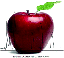 Graphical abstract: Fast analysis of flavonoids in apple juice on new generation halo column by SPE-HPLC