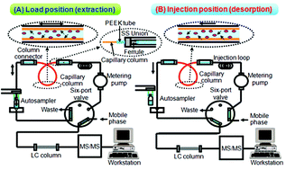 Graphical abstract: Automated analysis of oseltamivir and oseltamivir carboxylate in environmental waters by online in-tube solid-phase microextraction coupled with liquid chromatography-tandem mass spectrometry