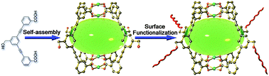 Graphical abstract: Surface functionalization of metal–organic polyhedron for homogeneous cyclopropanation catalysis
