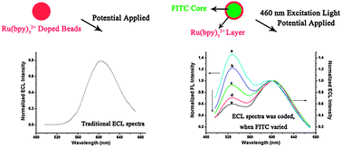 Graphical abstract: Encoding electrochemiluminescence using Ru(bpy)32+ and fluorescein isothiocyanate co-doped silica nanoparticles