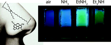 Graphical abstract: ‘Liquid litmus’: chemosensory pH-responsive photonic ionic liquids