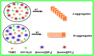 Graphical abstract: Ionic liquid-controlled J- versus H-aggregation of cyanine dyes