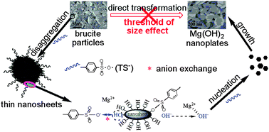 Graphical abstract: Direct synthesis of hexagonal Mg(OH)2 nanoplates from natural brucite without dissolution procedure