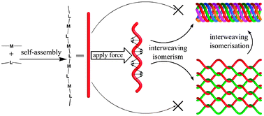 Graphical abstract: Interweaving isomerism and isomerization of molecular chains