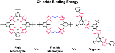 Graphical abstract: Two levels of conformational pre-organization consolidate strong CH hydrogen bonds in chloride–triazolophane complexes