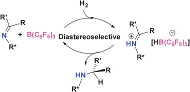 Graphical abstract: Metal-free diastereoselective catalytic hydrogenations of imines using B(C6F5)3