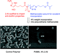 Graphical abstract: Inhibition of Acinetobacter baumanniibiofilm formation on a methacrylate polymer containing a 2-aminoimidazole subunit