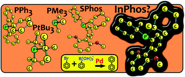 Graphical abstract: What makes for a good catalytic cycle? A theoretical study of the SPhos ligand in the Suzuki–Miyaura reaction
