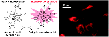 Graphical abstract: Phthalocyanine-based fluorescence probes for detecting ascorbic acid: phthalocyaninatosilicon covalently linked to TEMPO radicals