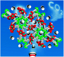 Graphical abstract: A rod packing microporous metal–organic framework: unprecedented ukv topology, high sorption selectivity and affinity for CO2