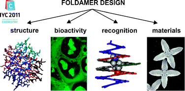 Graphical abstract: Synthetic foldamers
