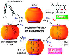 Graphical abstract: Supramolecular photocatalysis: insights into cucurbit[8]uril catalyzed photodimerization of 6-methylcoumarin