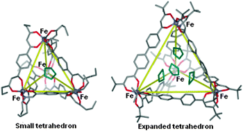 Graphical abstract: An expanded neutral M4L6 cage that encapsulates four tetrahydrofuran molecules