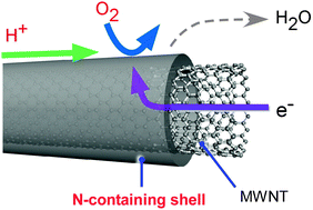 Graphical abstract: Design and synthesis of nitrogen-containing calcined polymer/carbon nanotube hybrids that act as a platinum-free oxygen reduction fuel cell catalyst