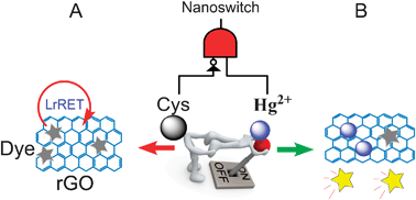 Graphical abstract: A reversible fluorescence nanoswitch based on bifunctional reduced graphene oxide: use for detection of Hg2+ and molecular logic gate operation