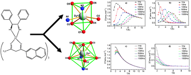 Graphical abstract: Distinct magnetic dynamic behavior for two polymorphs of the same Dy(iii) complex