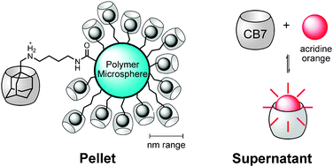 Graphical abstract: Quantification of surface functional groups on polymer microspheres by supramolecular host–guest interactions